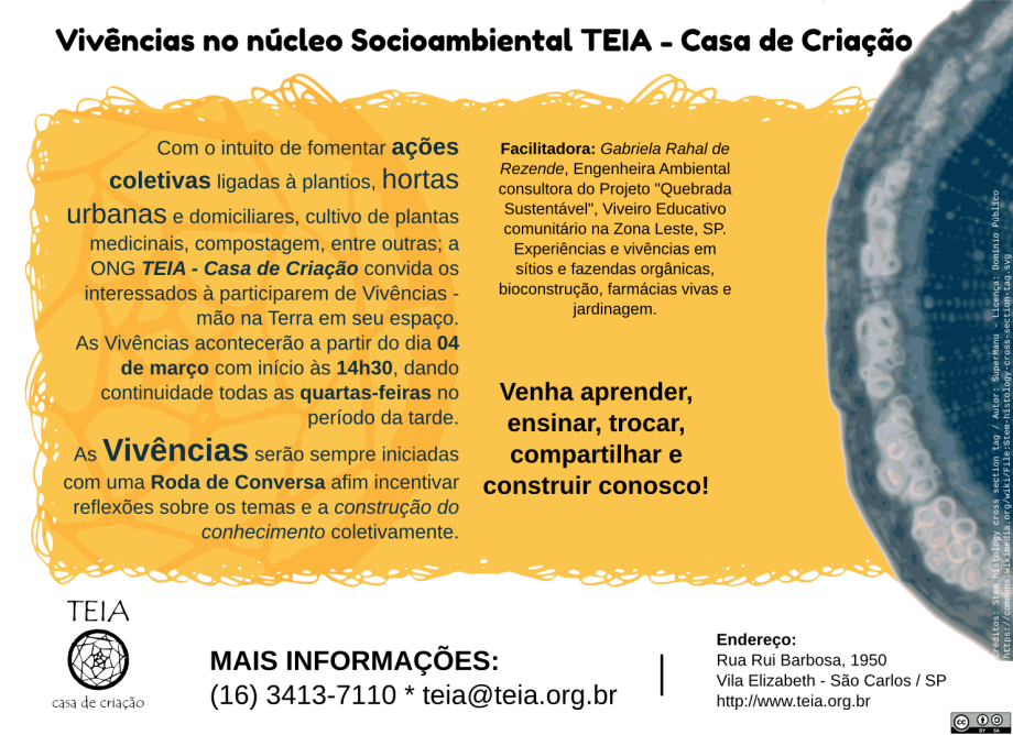 Cartaz-vivencia.png