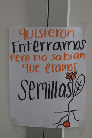 Parede3.JPG