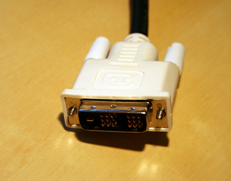 Arquivo:Dvi macho.jpg